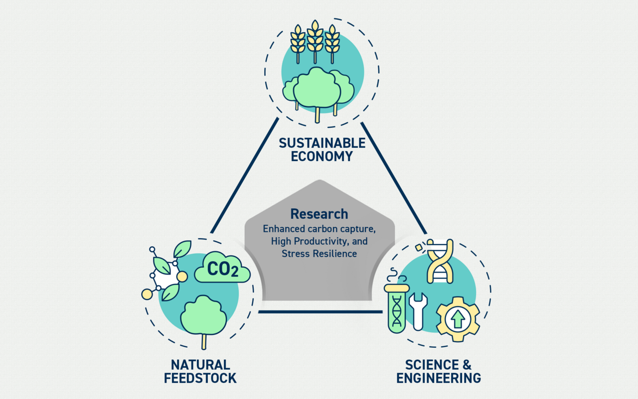 Chart explaining Natural Feedstock