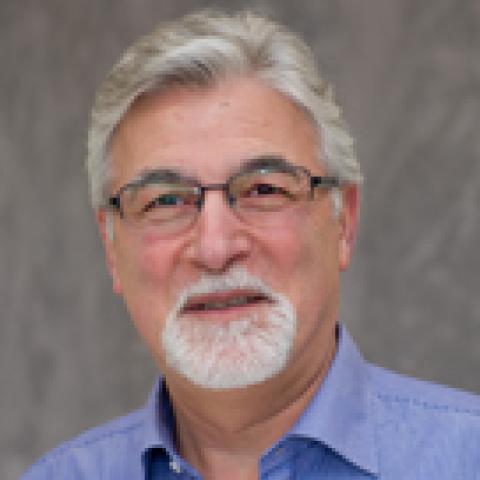 Spyros Pavlostathis's profile picture