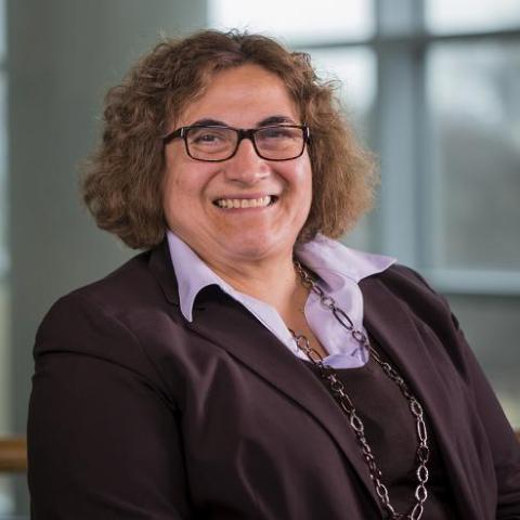 Rosario Gerhardt's profile picture