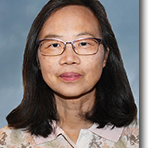 Xiaoyan Zeng's profile picture