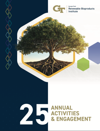 RBI Annual Report